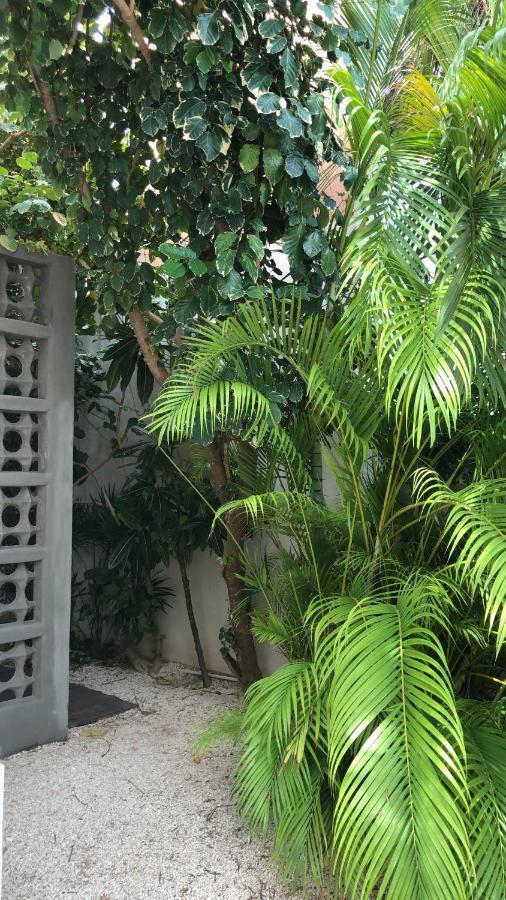 Cielo Neuf Bed & Breakfast Cancun Luaran gambar